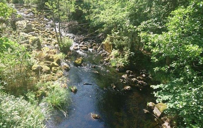 Lillån vid Boxholm, Uppströms Kvisslehultsbron Avrinningsområde Koordinat (RT90) Kommun Syfte Höjd över havet 67 Motala ström 645281-145748 Boxholm Regional miljöövervakning 130 m Populationstyp