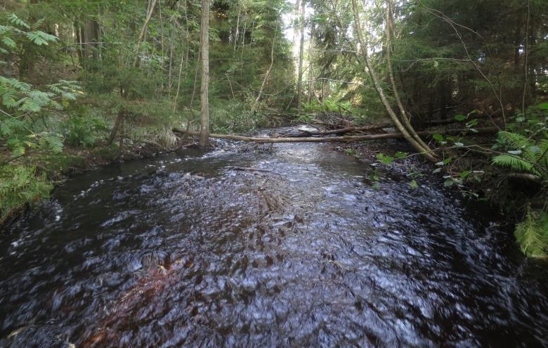 Mobäcken, Hornstugan Avrinningsområde Koordinat (RT90) Kommun Syfte Höjd över havet 67 Motala ström 650988-147027 Motala Regional miljöövervakning 59 m Populationstyp Senast fiskad Lokallängd