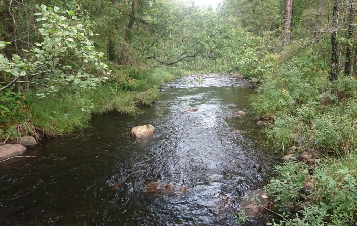 Silverån, Forserum Avrinningsområde Koordinat (RT90) Kommun Syfte Höjd över havet 74 Emån 640035-147300 Ydre Regional miljöövervakning 174 m Populationstyp Senast fiskad Lokallängd Medelbredd
