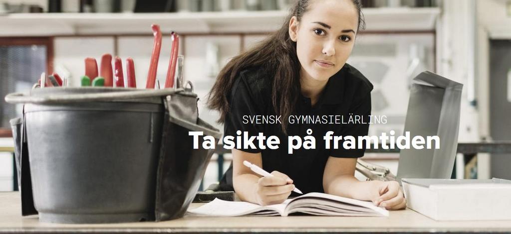 Lärlingsanställningar enligt tysk modell Svensk Gymnasielärling Höja statusen kring lärlingsutbildningar och bredda upptaget av unga som söker.