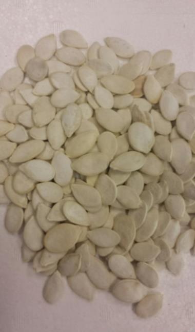 moms Pall plast 3,2 kg 20