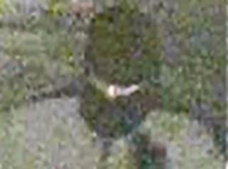 , 2010-02-08 09:36