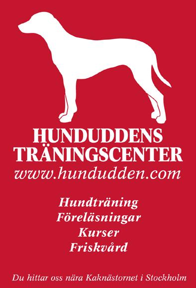 SPONSORER Lena Sunnås Lundgren ÖPPEN KLASS, FORTS. 38.