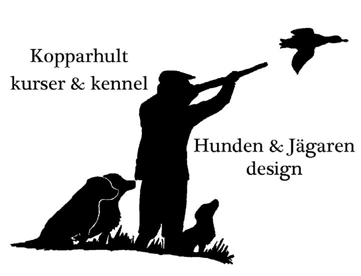 Yvonne Liljeblad Kullaholms Timon 2015-01-08 Lab C.