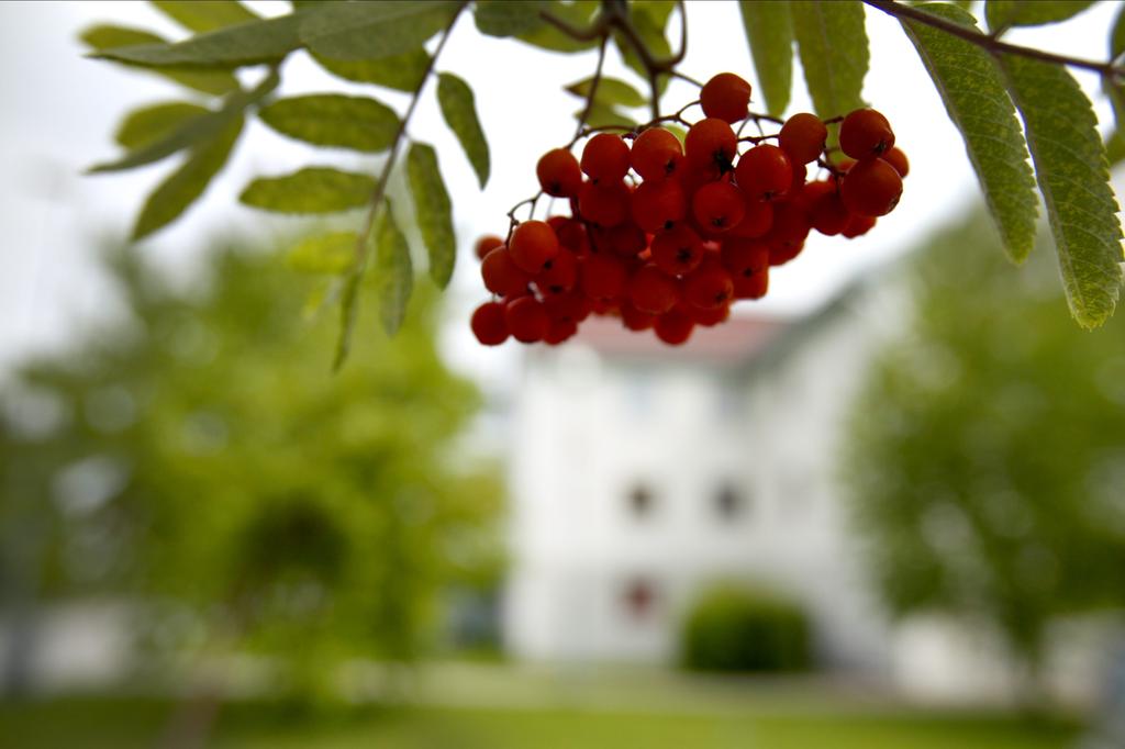 STADGAR NORMALSTADGAR 2011 FÖR