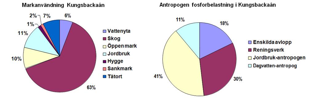 Betydande påverkan Jordbruket dominerar när det gäller antropogena utsläpp (orsakade av människan) av fosfor och därefter följer utsläpp från reningsverk och läckage från enskilda avlopp (figur 4).