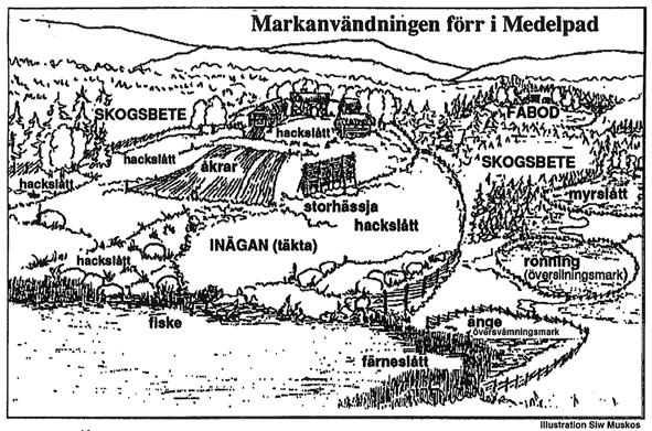 Fig. 2. Det äldre odlingslandskapet. Teckning av Siw Muskos. Ralds klassning av värdefulla ängar Den danske mykologen Erik Rald (1950 2016) omkom i en drunkningsolycka (Rune 2017).