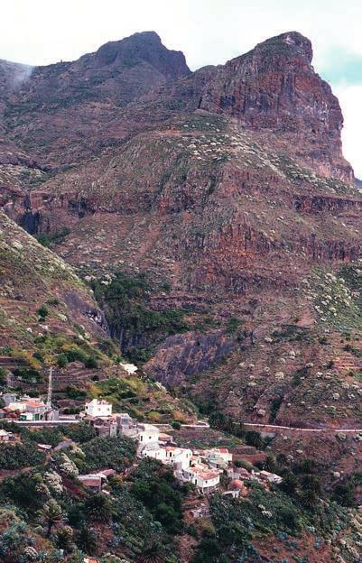 SVENTENIUS från det nordvästra hörnet av Teneriffa, bland annat nedom Masca, men skörden blev mager med endast ett dåligt exemplar. Dagen därpå skulle helt ägnas åt växtsamling i Barranco de Masca.