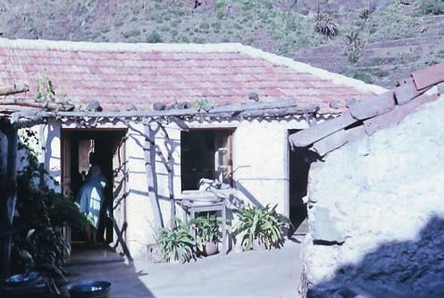 STORK & SWENSON Figur 9. Det enkla pensionatet Doña Luz i Masca. Foto: Adélaïde Stork, mars 1962. The simple pension Doña Luz in Masca 1962. tet Greenovia och ett ben som höll under hela exkursionen.