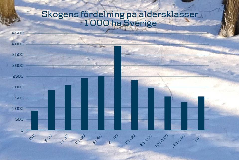 Virkessvackan
