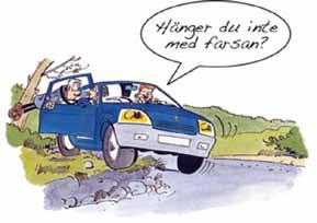 Många nyblivna körkortstagare har ofta inte råd att köpa en särskilt dyr förstabil och har kanske därför bara halv- eller trafikförsäkring på den.