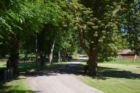 Se bifogad skogsbruksplan och karta. Betesmark 3,7 ha samt del av skogsmarken. Jakt/fiske Med fastigheten följer andel i fiske i bäcken. Fastigheten ingår i ett hjort-och älgskötselområde.