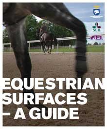 pdf Technical Bulletin #3 for Track Surface Education Loading of the Hind Hoof Track Loading Lars Roepstorff DVM, Ph.D. and Michael Mick Peterson, Ph.D. www.racingsurfaces.org/whitepapers/bulletin3.