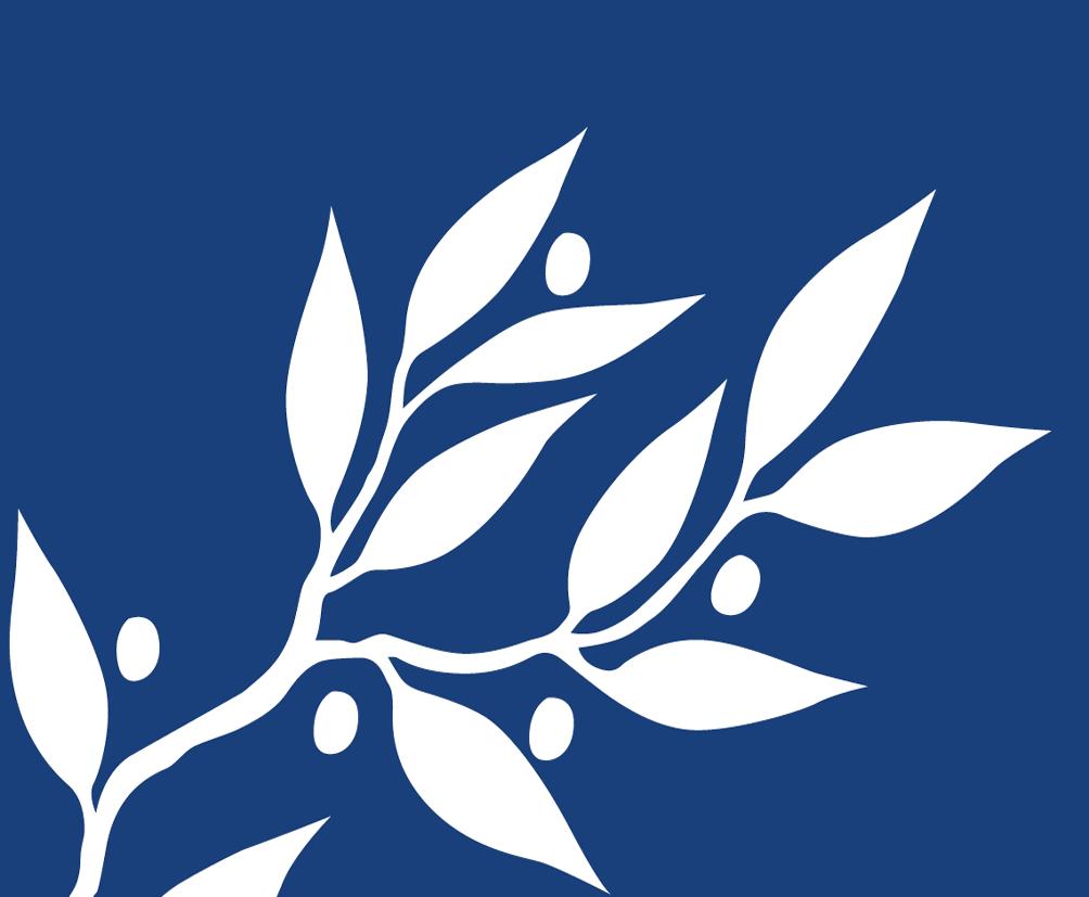 MEDIEPLAN