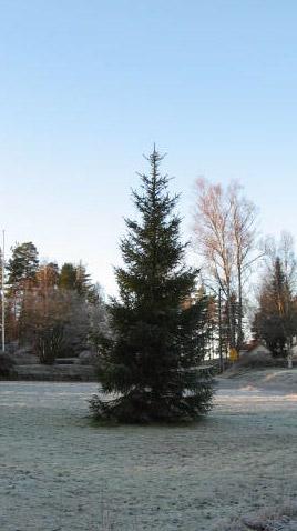 Första advent i Månstad Det blev jättebra. Idrottsföreningen ordnade med tipspromenad, byalaget grillade korv i grillstugan.