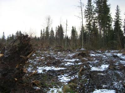 Platsen där yta 492 bör
