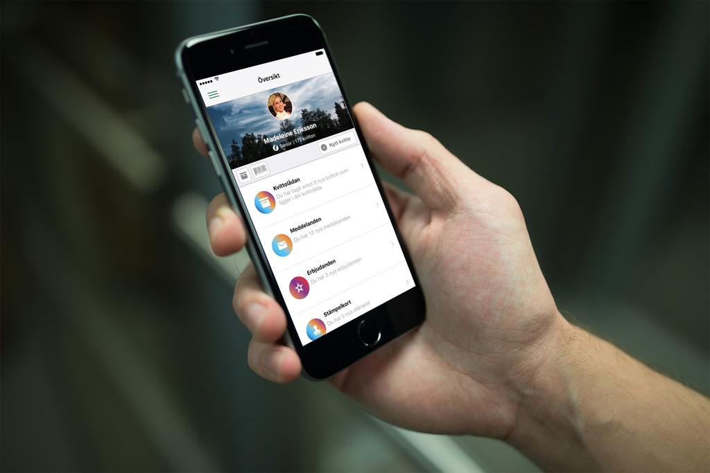 Ett originalkvitto i bildformat (PDF) levererat till dator eller telefon. Det är icke sökbart, maskinläsbart och möjlighet att addera mervärde saknas.