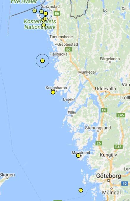 Dykning i siffror Totalt antal dyk: 14 st.