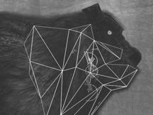 kinematics