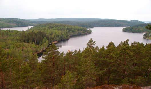 -Verksamhetsbeskrivning- Verksamhetsbeskrivning Översikt Archelon har under 2007 fortsatt bygga upp sin verksamhet som består av två delar, dels prospektering som bedrivs huvudsakligen i egen regi