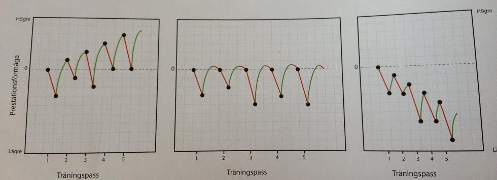 Träningsplanering Juniorgruppen En liten introduktion med introduktion till varför och därefter förslag på upplägg Förbättra prestationsförmågan Det finns flera delar som bidrar till konditionen,