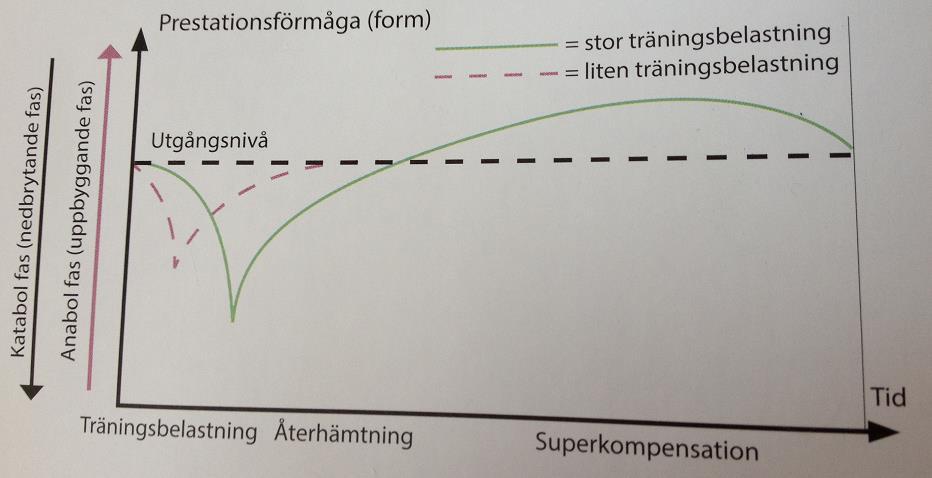 Bilden nedan visar pass med superkompensation det är pass