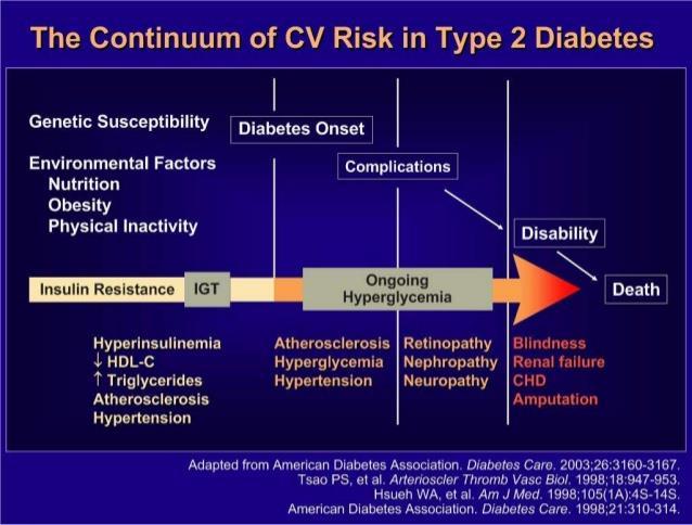 Majoriteten av patienterna med DM2 dör i förtid av komplikationer till sin diabetes, huvudsakligen i kardiovaskulära händelser (CVD)