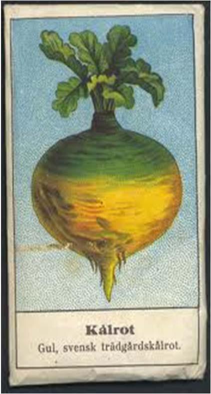 napobrassica L