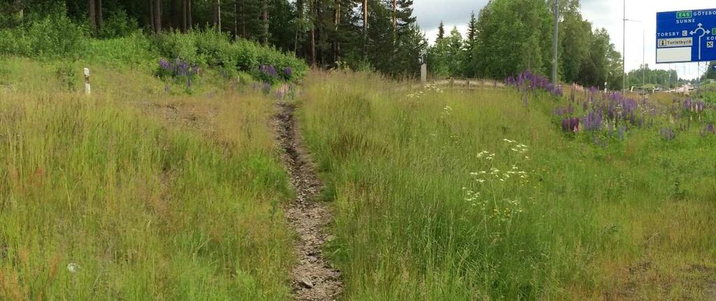 Trafiken varierar för de olika verksamheterna under året. Under våren och fram till vintern är det högst trafikflöden för bland annat LBC och Niwa.