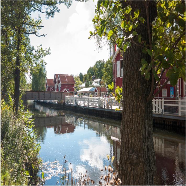 Naturmiljö och Ytvatten Fokus Konsekvensbeskriver vattendragen (omgrävning, hydromorfologi etc), träd, biotoper och eventuella arter som på olika sätt kan påverkas av