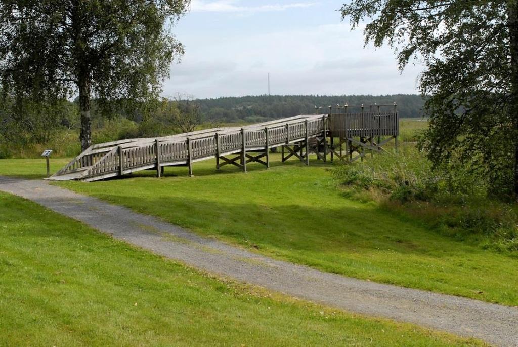Figur 15. Gräsmattor längs Sjöängsgatan i delområde 5. Mål Öppet område med välskött gräsmatta och god tillgänglighet till sjöstranden.
