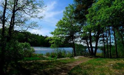 Förslag För att öka stråkets användbarhet dras gångstråket om vid sidan av den befintliga. Den nya sträckningen har en maxlutning på 5%. elysningsstolpar behöver därmed flyttas och skogen slyröjas.