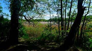 Farstastrandsbadet Idag Farsta strandsbadet är redan idag populärt. Här finns en strand och två bryggor, där den ena bryggan är anpassad för funktionsnedsatta.