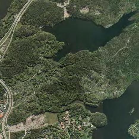 strandpromenaden har ett övergripande förslag för röjning av sly och vass tagits fram, se sidorna 12-13.
