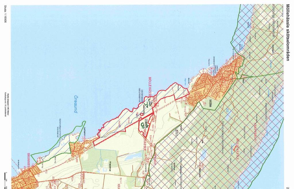 Möllehässle naturreservat Röjning runt stengärden Röjning utav större