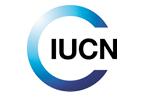 expertise => localisation and adaptation for the