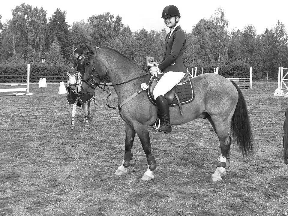 Sida 22 K2 Golden Top 0 0 Kastrerad 2017 Leuns Veld s Lord 13 11 7 2 9 Nijebert s Cupido 0 0 0 2 2 Pegasus Pan 1 0 2 2 4 1 gall Anglowelsh Power of Independence 1 1 0 Död -17 Prins Tord 0 0 0 0 0
