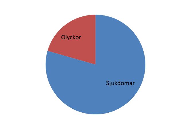 Olyckor