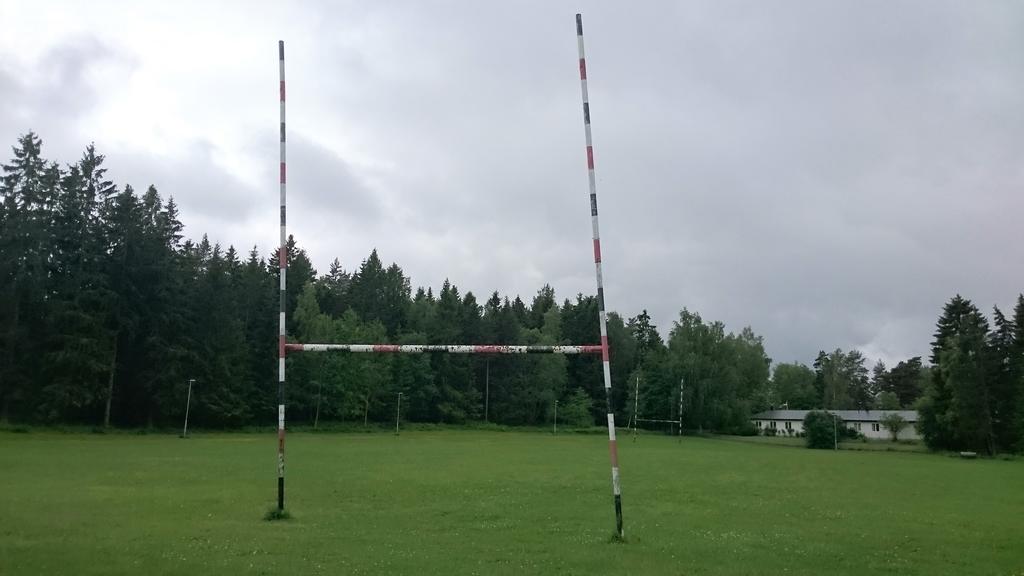 Delar av dungen i