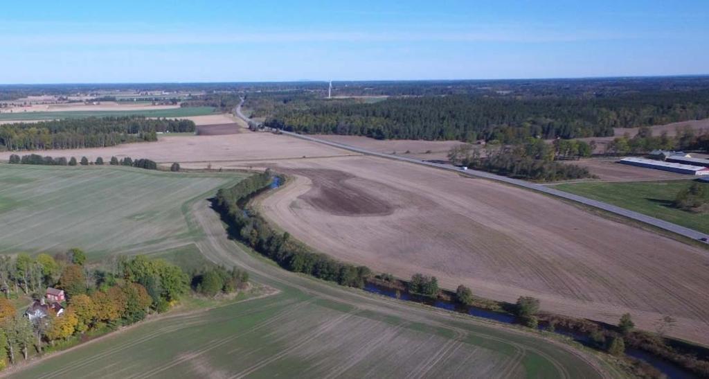 Berget är till stor del täckt av vegetation, som mossor eller annan undervegetation. De högsta naturvärdena har påträffats i skogslandskapets kantzoner.