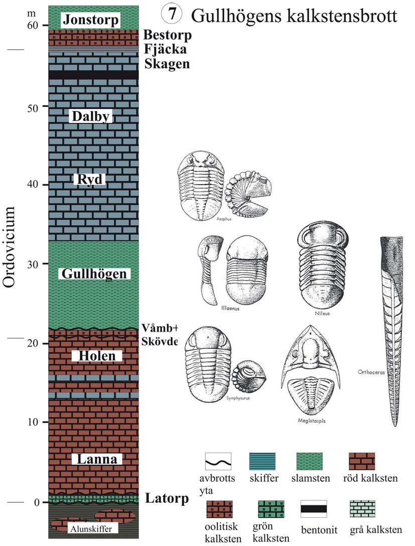 Fig. 11.