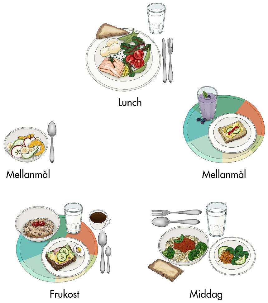 Måltidsordning Måltidsordningen kallar man fördelningen av bra måltider under dagen. En dags bra mat helt enkelt.