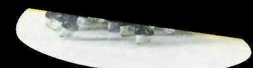 LHC var en av de klubbar som startade upp utvecklingen inom damhockey och nu har flera andra SHL-klubbar vaknat och satsar mycket hårt.