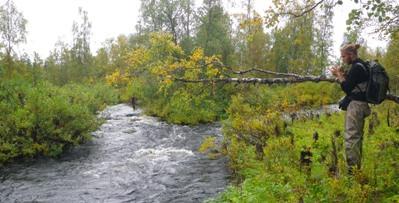 Åtgärdskartering / Biotopkartering Beskriver Biotopen