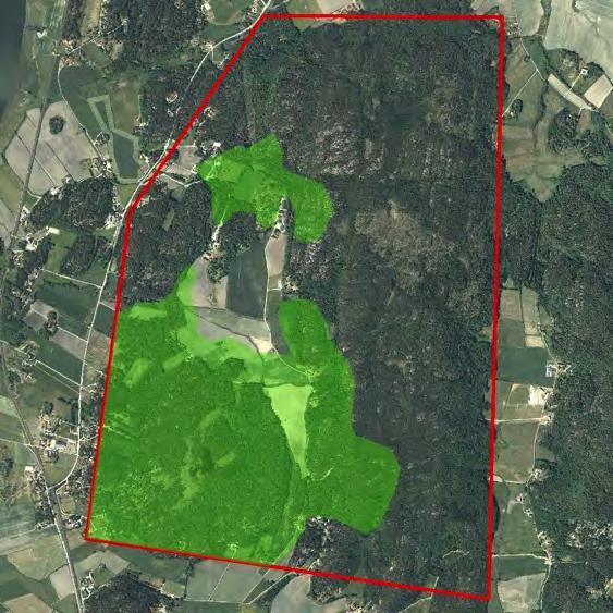 Det är främst områdets bergsmark som har stor potential som lämplig hasselsnoksbiotop.
