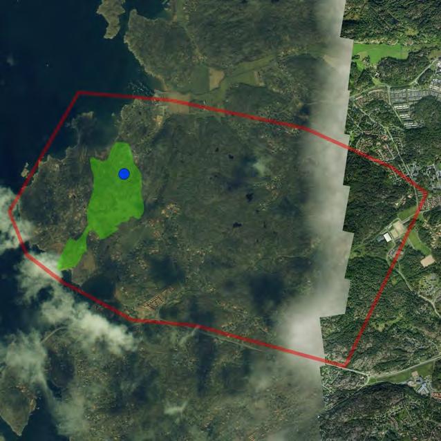 Inventering av hasselsnok i Göteborgs kommun R 2012:6 Område 4, Hästevik Klass: 1 Generell beskrivning av området: Området utgjordes till stor del av berghällar med ljungvegetation.