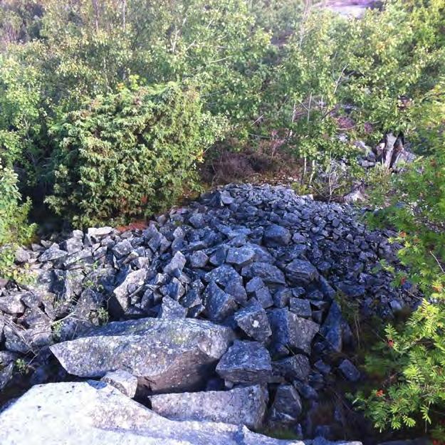 Område 5, Skärvallsberget Klass: 2 Generell beskrivning av området: Området består av öppna områden med berg i dagen som är gynnsamt för hasselsnoken.