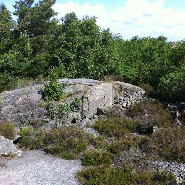 Områdets potential som hasselsnoksbiotop: Miljön i det inventerade området har stor potential som hasselsnoksbiotop.
