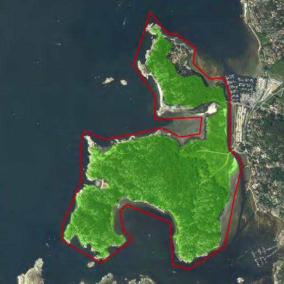 Områdets potential som hasselsnoksbiotop: Området har mycket stor potential som hasselsnoksbiotop och även för andra ormar.