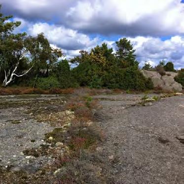 Inventering av hasselsnok i Göteborgs kommun R 2012:6 Område 13, Gatersered Klass: 1 Generell beskrivning av området: Området är ett småbrutet landskap bestående av mindre öppna betes-marker